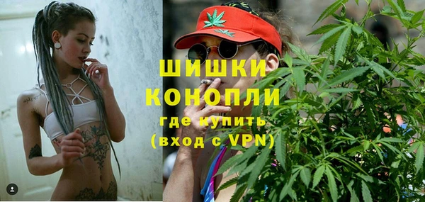 apvp Алексин