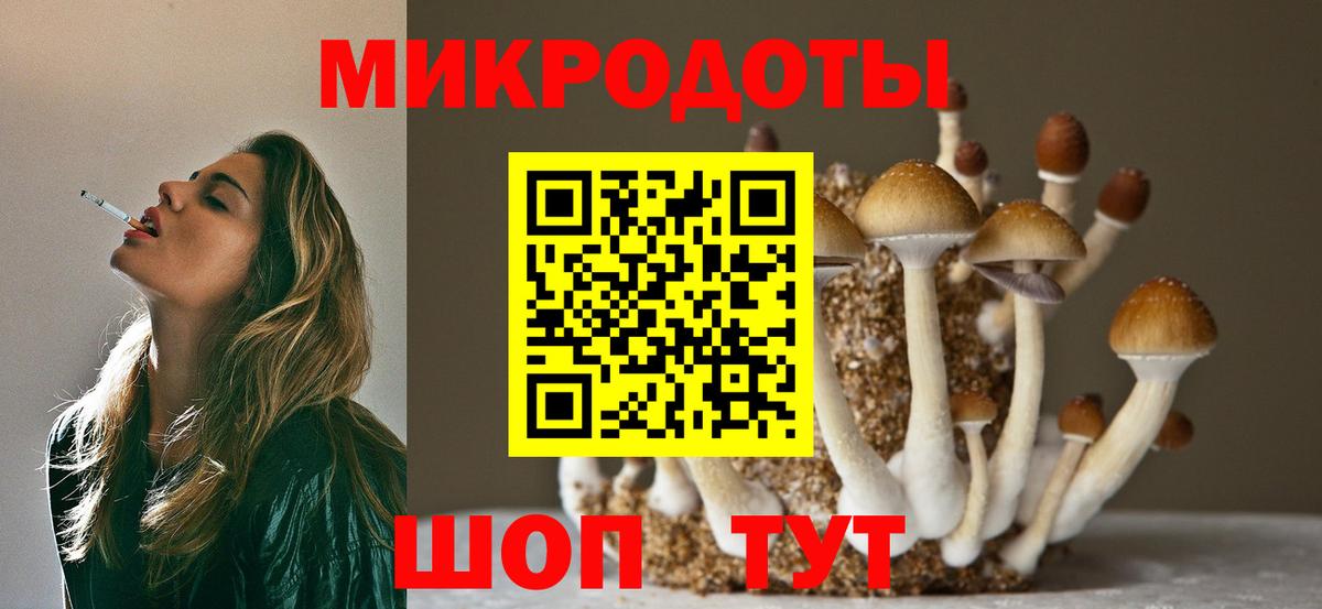 Псилоцибиновые грибы MAGIC MUSHROOMS  Псилоцибиновые грибы прущие грибы  Вход с VPN  Аргун 